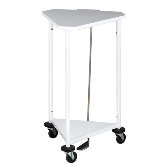 Clinton H-43 18 in. Triangular Hamper with Lid