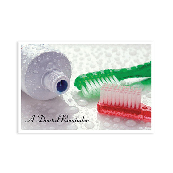 Sherman Specialty RC6119 Red / Green Brush Postcard, 250 Per Pack