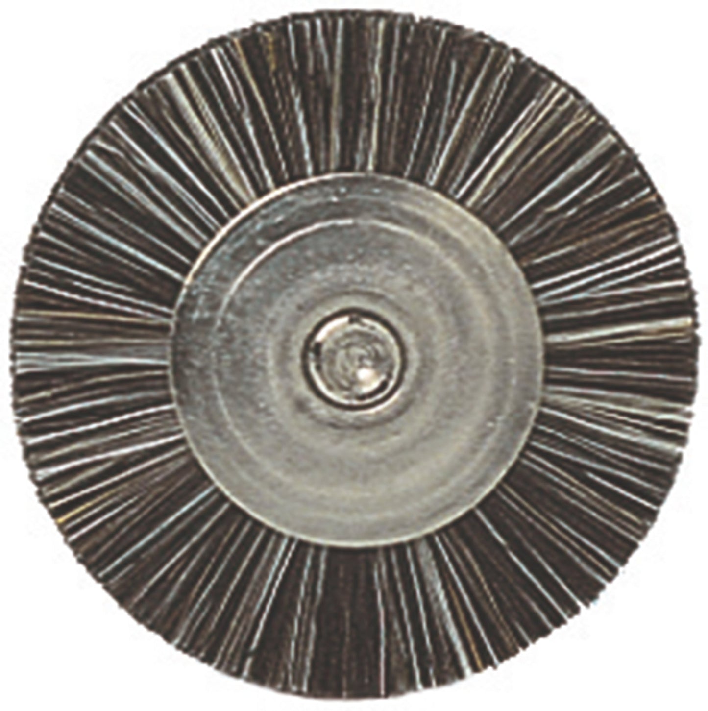 Renfert 7661000 Bison Polishing Brushes, 18Mm 25 Pcs.