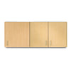Clinton 8260 Wall Cabinet with 3 Doors