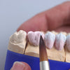 Renfert 17160200 Ceramicus Opaquer Brushes 2 Pcs.