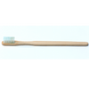 Oraline ORA22912 OraBrite Adult Mint Prepasted Bamboo Toothbrush  - Eco-Friendly Ready-to-Use Toothbrush with Soft Bristles  (144/Case)