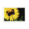 Sherman Specialty RC6053 Butterfly Smile Postcard, 250 Per Pack