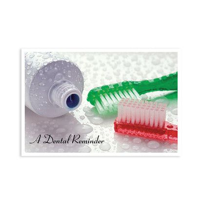 Sherman Specialty RC6119 Red / Green Brush Postcard, 250 Per Pack