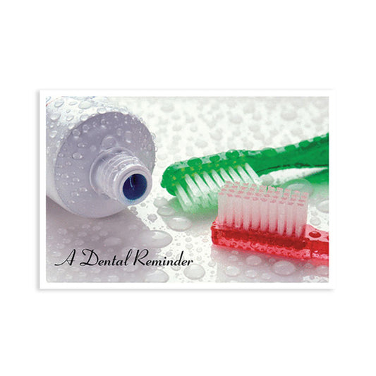 Sherman Specialty RC6119 Red / Green Brush Postcard, 250 Per Pack