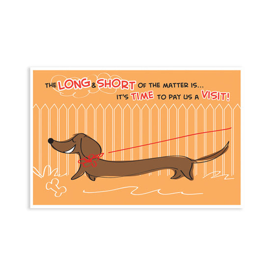 Sherman Specialty RC7249 Dachshund Postcard, 250 Per Pack