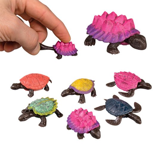 Sherman Specialty S7332 2" Stretch Turtles-Assorted, 48 Per Pack