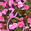 MDF Instruments MDF777TBL01 MD One® Epoch Titanium Adult Stethoscope - Light Pink/Blossom