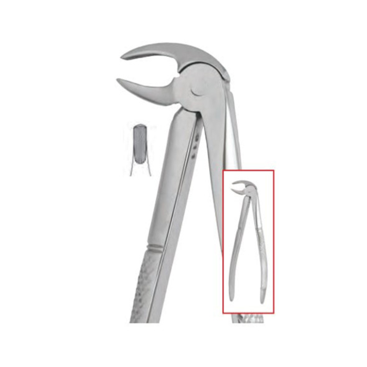 Nordent FE13-SER Extraction Forceps Lower Bicuspid English Pattern #13 Serrated